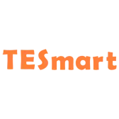 TESmart