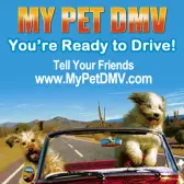 MyPetDMV - The original Pet Drivers License